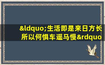 “生活即是来日方长 所以何惧车遥马慢”